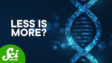 Why More Isn’t Always Better For DNA