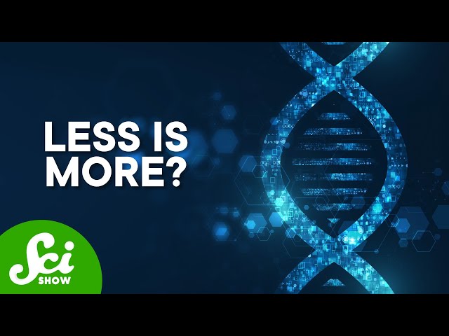 Why More Isn’t Always Better For DNA