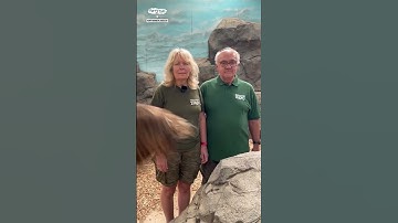When you let the gen Z staff write the zoo marketing script 😂          🎥: TikTok/northumberlandzoo