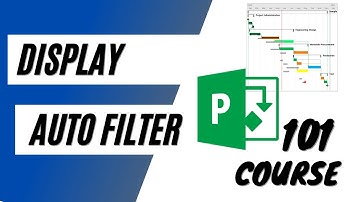 MS Project - How to Display Auto Filters