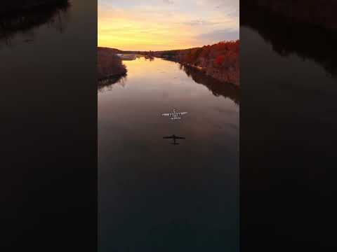Amazing shot! P-51