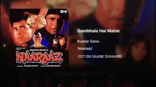 SAMBHALA HAI MAINE BAHUT APNE DIL KO- HQ HD SOUND #AUDIO_ROLL