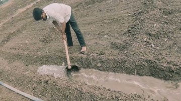 check basin irrigation system