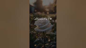 [سورة النور الآية 35] القارئ ماهر المعيقلي