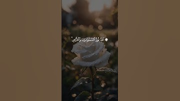 [سورة النور الآية 35] القارئ ماهر المعيقلي