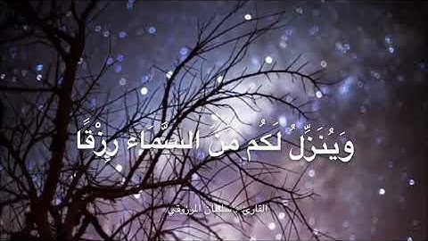 تلاوة خاشعة من صلاة الجمعة للقارئ : سلطان المرزوقي