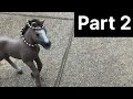 The chosen foal part 2 #toysandanimals#sleich#horse#animals