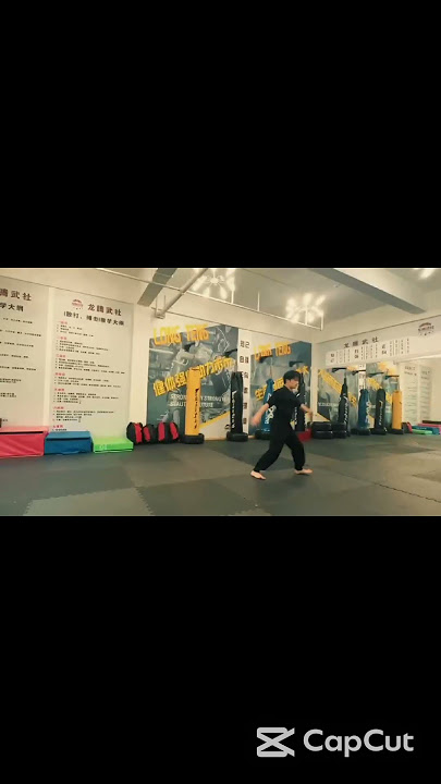 Sword & Spirit as One – Wudang Jian | 剑与心合 #WudangJian #Taoism #shorts