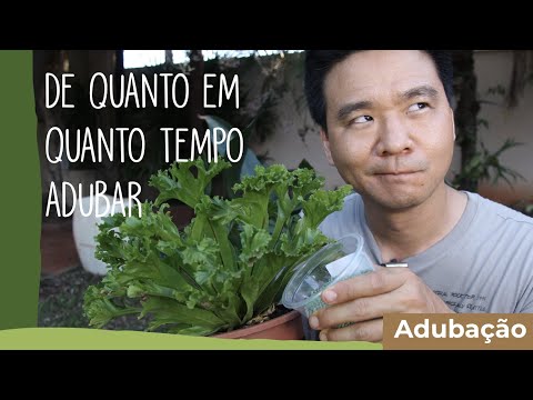 Vídeo: Você deve fertilizar uma árvore recém-transplantada?