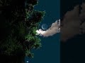 Night Sky View Status Agar Tum Saath Ho Flute Ringtone Instrumental Ringtone Unique Status Night Sky View Status Agar Tum Saath Ho Flute Ringtone Instrumental Ringtone Unique Status