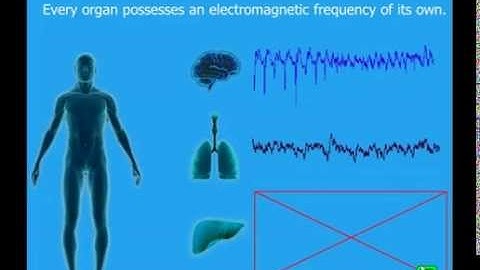 CEM TECH SPINOR english