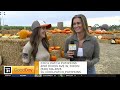 Cool Patch Pumpkins, 9am