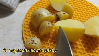 Десер "Бульбёшка" (аоаоаоадчдыжв)