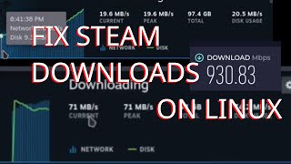 Famous Steam Downloads Slow On Linux?! FIX IT Wealth