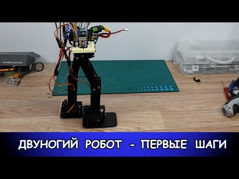 Прямоходящий робот своими руками