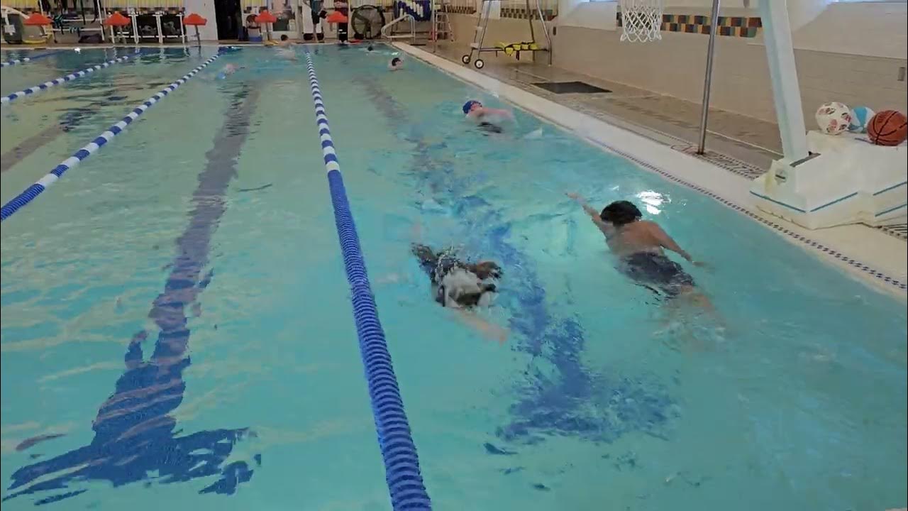 West Jordan Gene Fullmer Rec Advanced Swim Team YouTube