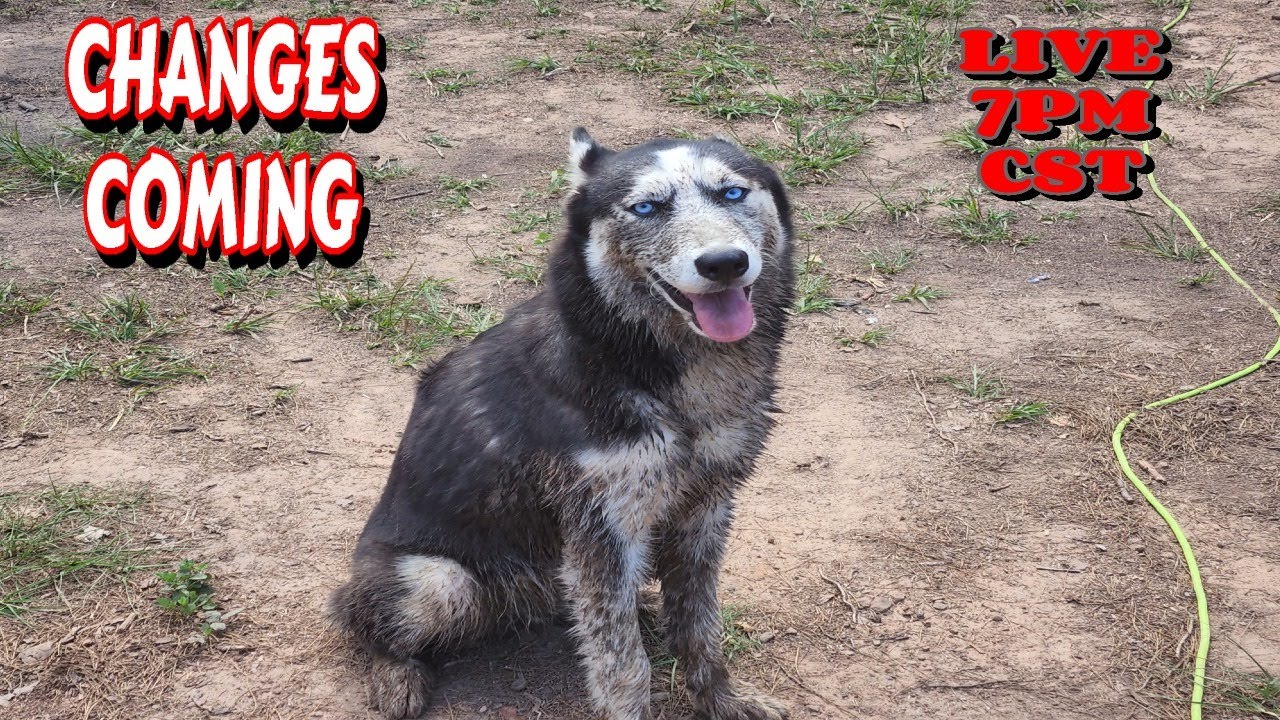 changing-things-up-cabin-build-well-solar-cabin-homesteading