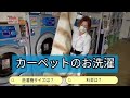 カーペットの洗い方　ご案内#本巣 #コインランドリー #アレルギー対策 #ダニ対策