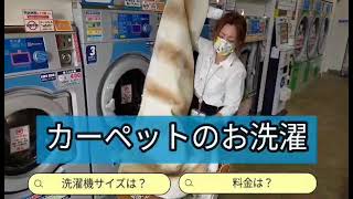 カーペットの洗い方　ご案内#本巣 #コインランドリー #アレルギー対策 #ダニ対策