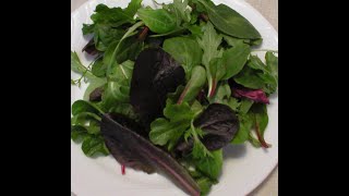Spring Mix 101 - Tips and Ideas (PART 2)
