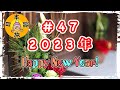 #47【2023年!!新年のあいさつ】(New Year Greeting!)