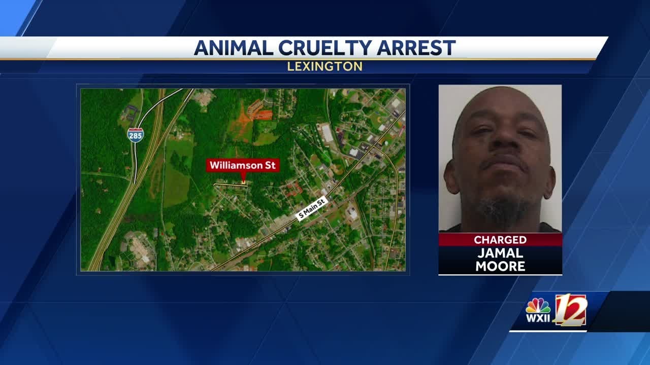 Lexington man facing animal cruelty charges after dogs found dead - YouTube