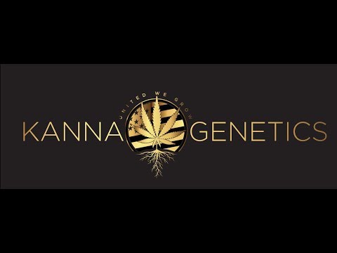 kanna genetics 5x5 gorilla