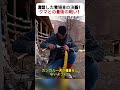 激怒した牧場主の決断! クマとの最後の戦い! #ツキノワグマ #牧場 #牧羊犬 #カンガルー犬 #野生動物との戦い