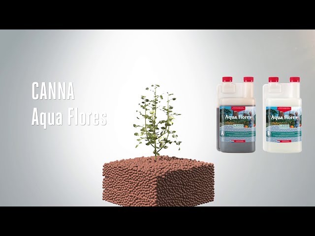 Watch CANNA Aqua Flores on YouTube.
