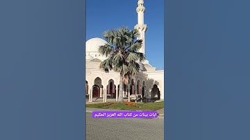 آيات بينات من كتاب الله العزيز الحكيم #كن_مع_الله_ولا_تبالي #قران_كريم