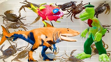 Kem Ốc Chanel ra đồng câu cá sấu con, cứu con cua, cá nheo, tắc kè gecko . Bắt khủng long cá mập