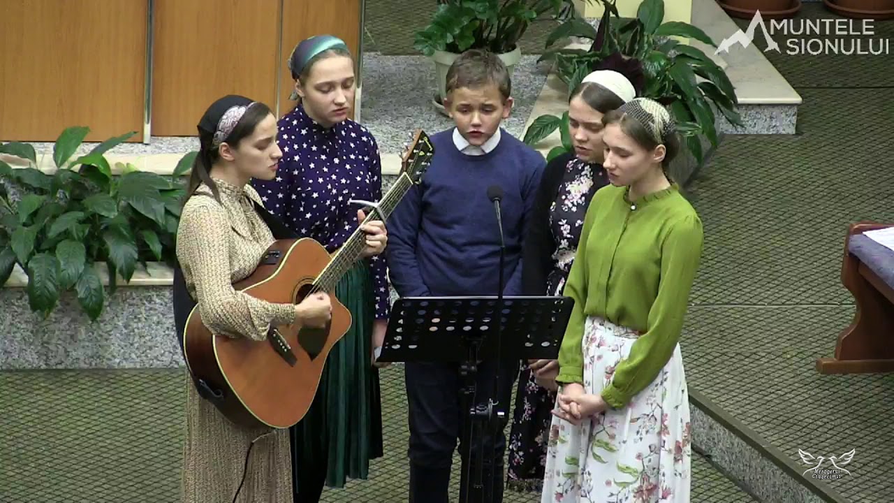 Fratii Tomus - Te-am simtit alaturi cand valul era greu | Video