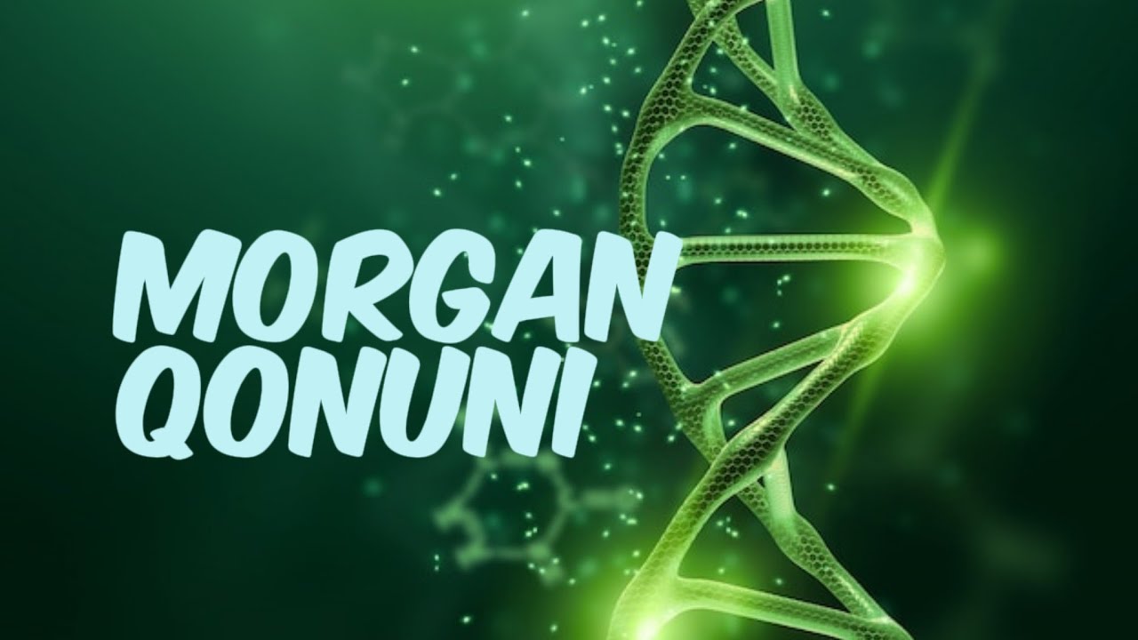 KROSSINGOVER || КРОССИНГОВЕР