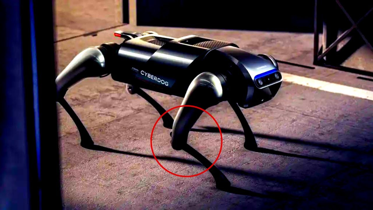 8 FUTURISTIC AND COOL ROBOTS | BEST PERSONAL ROBOTS YOU CAN BUY IN 2022 ✅