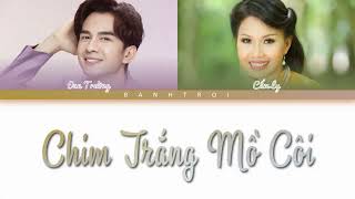 Chim Trắng Mồ Côi - Đan Trường, Cẩm Ly (Color Coded Lyrics)