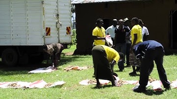 Cassava Cutting Delivery