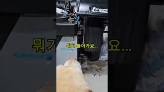 나앤이 산책시 휠 발란스 맞추는 것 보다...shorts