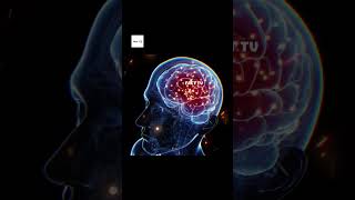 BRAIN REALITY #facts #facts #trending #smartphone #automobile #edit #tattoo #explore #motivation