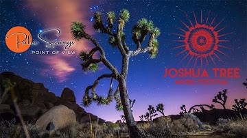 Palm Springs Point of View Mondays - "At the Joshua Tree Music Festival"