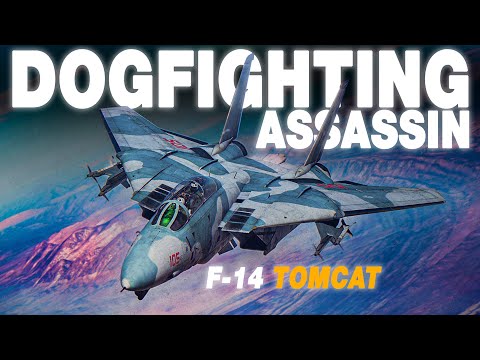 Absolute Assassin | F-14B Tomcat DOGFIGHT Vs F-15/F-16 | Digital Combat Simulator | DCS |