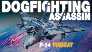 Absolute Assassin | F14B Tomcat DOGFIGHT Vs F15/F16 | Digital Combat Simulator | DCS |