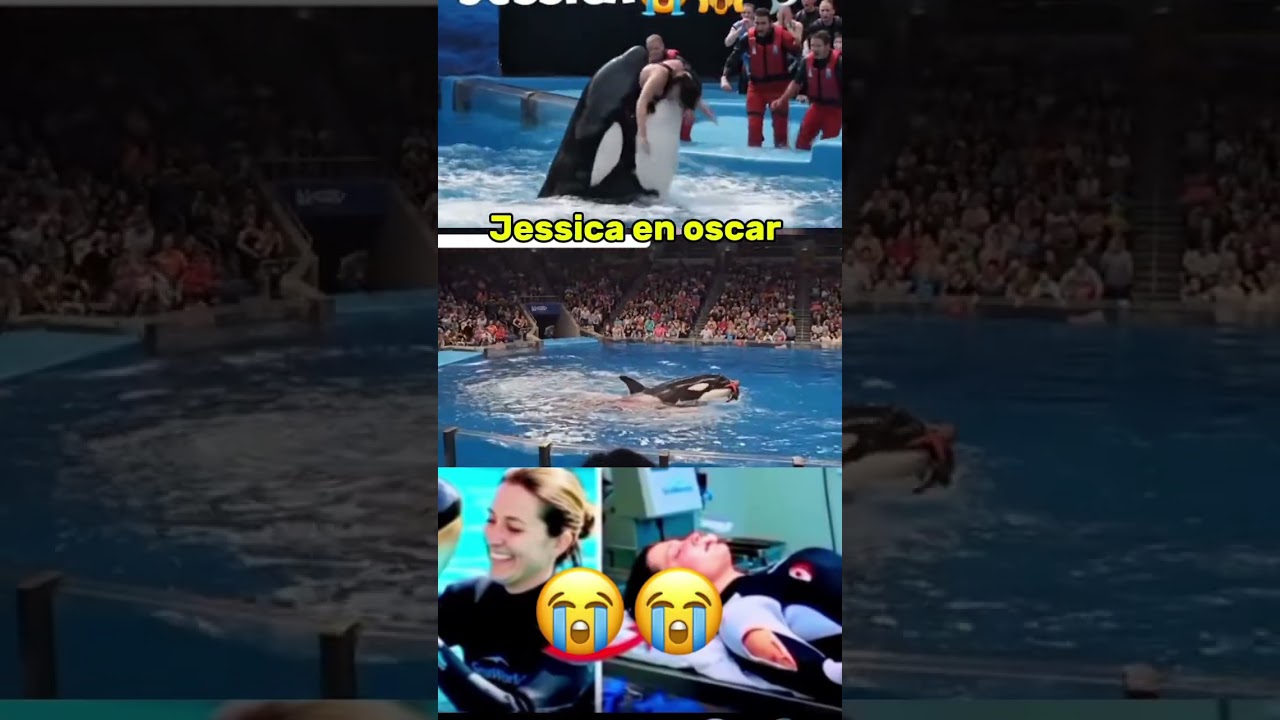 When Jessica Met the Ocean’s Monster!” 