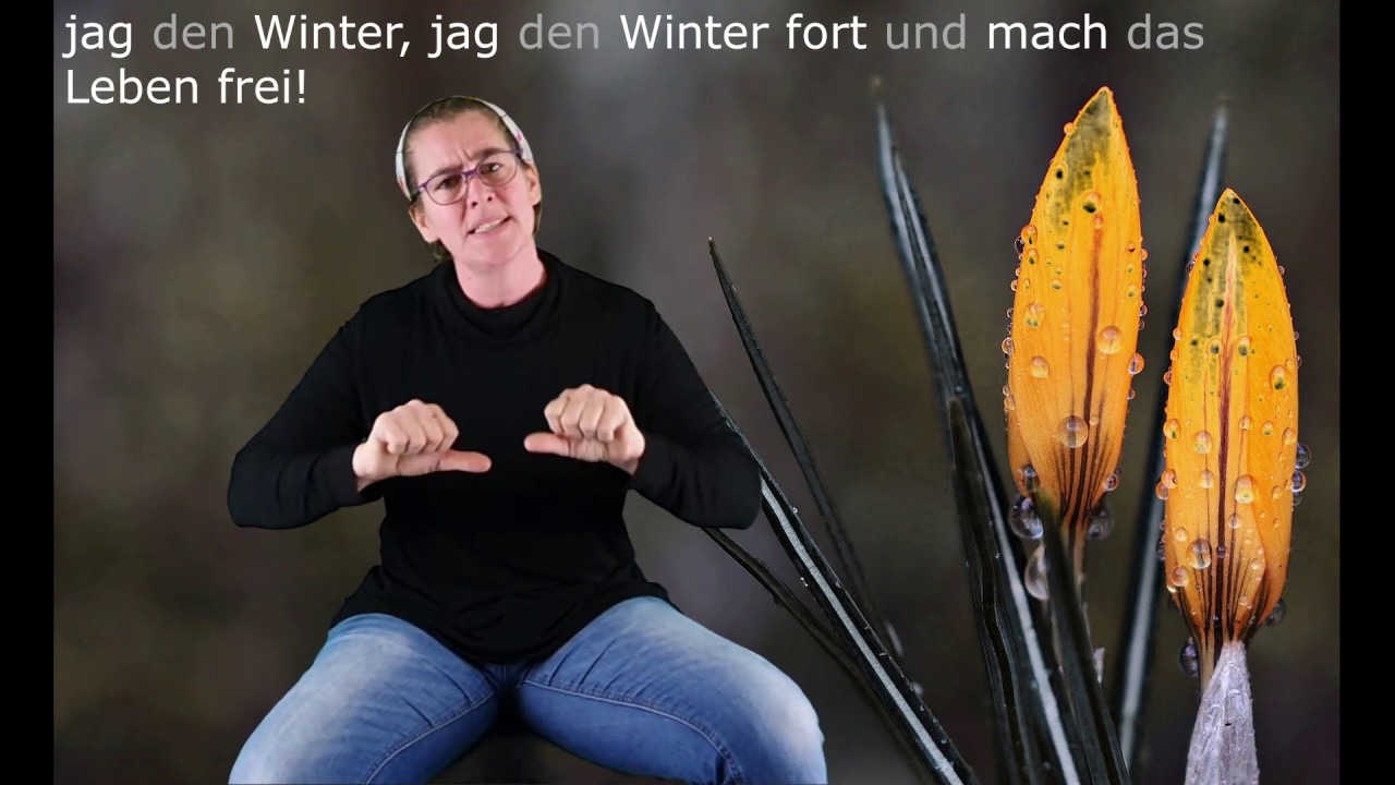 Singt ein Vogel im MĂ€rzenwald YouTube Singt ein Vogel im MĂ€rzenwald YouTube