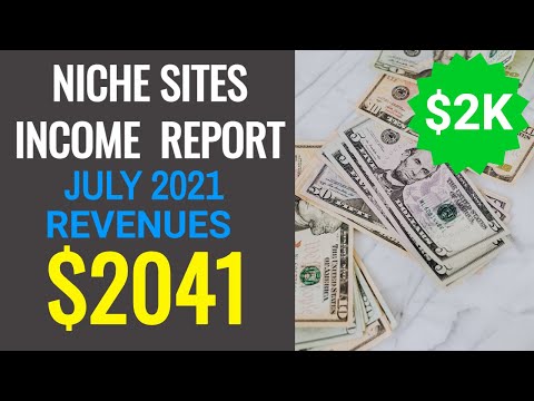 Niche Sites Earning - July 2021 | Micro Niche Blog Income Report | Portfolio Profit & Loss Report