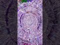 Crystal grape explosion in slow motion with intense glass breaking sounds.