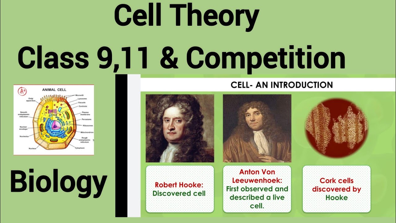 CELL THEORY | MODERN CELL THEORY | CELL - the unit of life | BIOLOGY ...