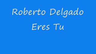 Miniatura del video "Roberto Delgado - Touch The Wind (Eres Tu)"