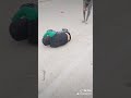عمر أخي العزيز