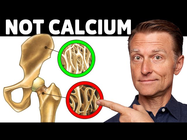 Calcium In Bones