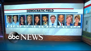 More Democratic candidates announce for 2020